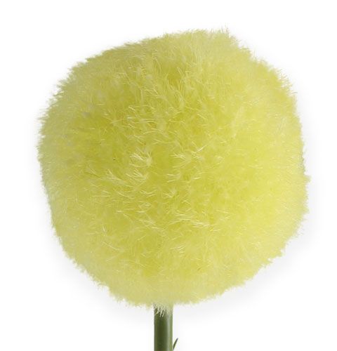 Artículo Allium Yellow 68cm