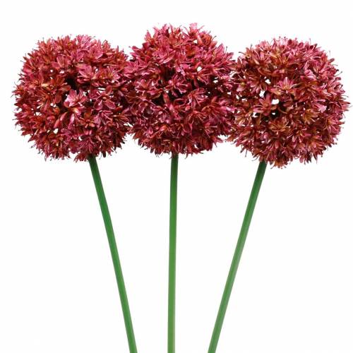 Floristik24 Allium ornamental artificial Malva Ø9cm H70cm 3pcs