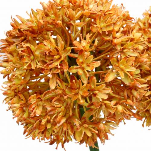 Floristik24 Cebolla ornamental Allium naranja artificial 70cm 3pcs