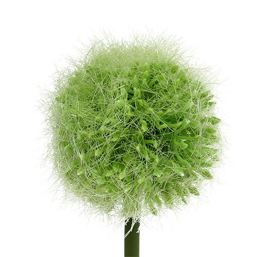 Artículo Allium verde L37.5cm 4uds