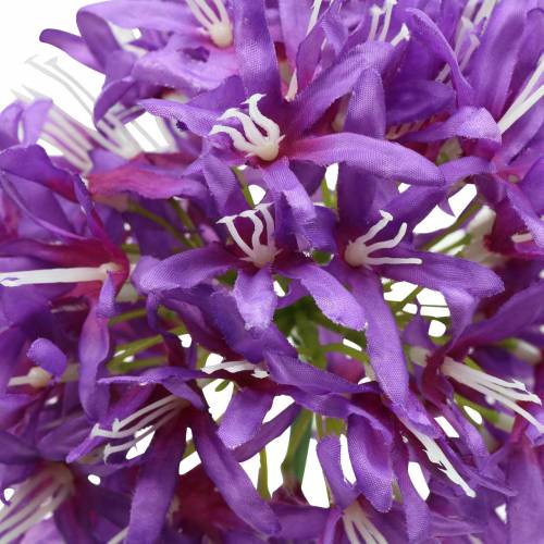 Floristik24 Allium ornamental artificial violeta Ø12cm H62cm