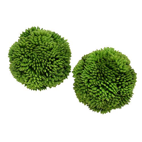 Floristik24 Bola Allium 5cm Verde 4pcs