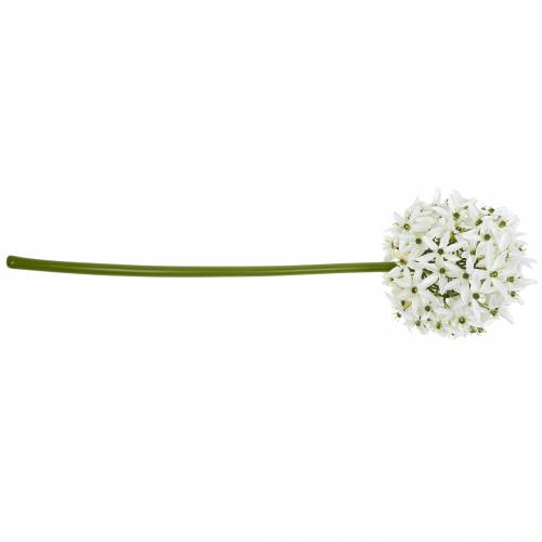 Artículo Flor decorativa Allium, puerro bola artificial, cebolla ornamental blanca Ø20cm L72cm