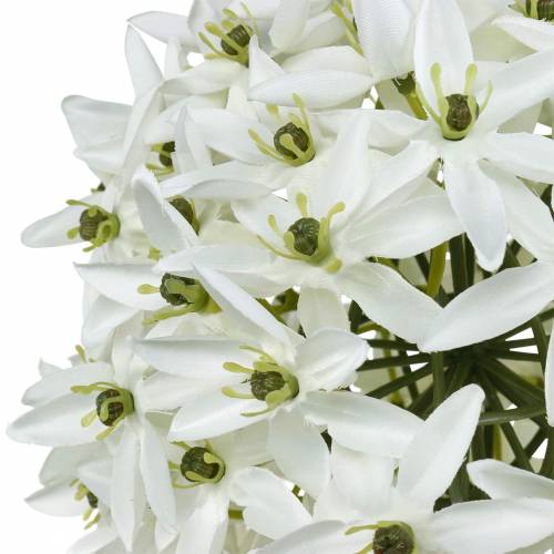 Artículo Flor decorativa Allium, puerro bola artificial, cebolla ornamental blanca Ø20cm L72cm