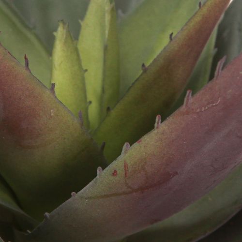 Artículo Planta Artificial Aloe Vera Suculentas Artificiales Moradas Ø18cm