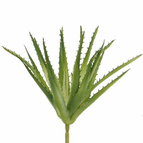 Floristik24 Aloe Vera artificial Verde 26cm