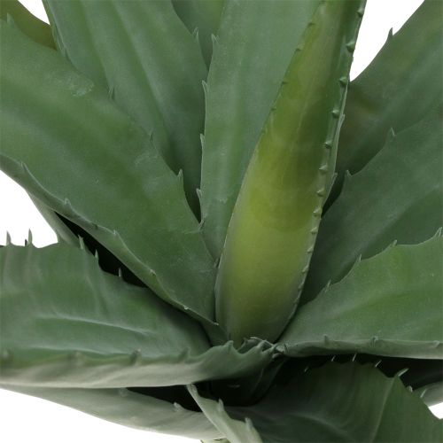 Floristik24 Rama de aloe verde artificial 47cm