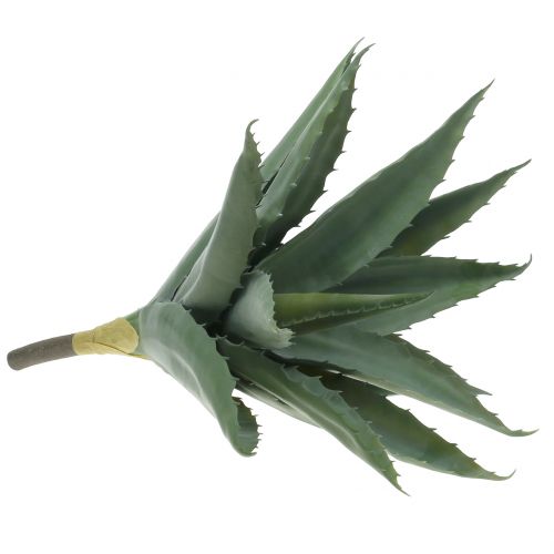 Floristik24 Rama de aloe verde artificial 47cm