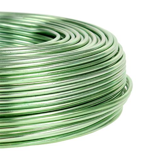 Artículo Alambre de aluminio Ø2mm 500g 60m Verde menta