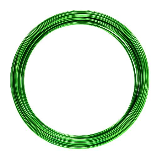 Floristik24 Alambre de aluminio 2mm 100g verde manzana