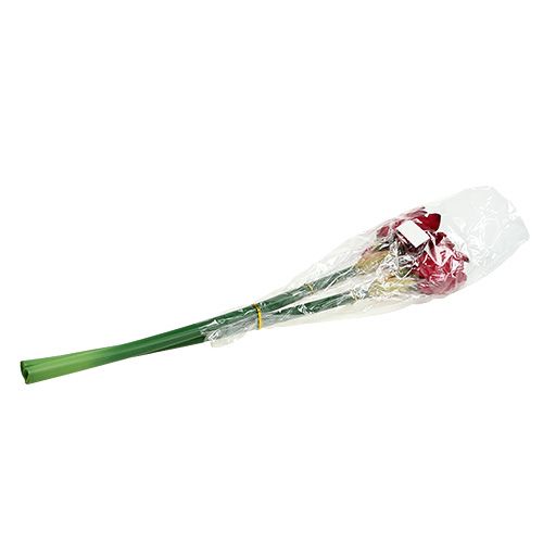 Floristik24 Amaryllis Rojo Oscuro L 73cm 2pcs