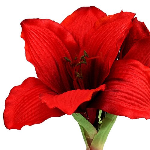 Floristik24 Amaryllis Red L 68cm 1pc