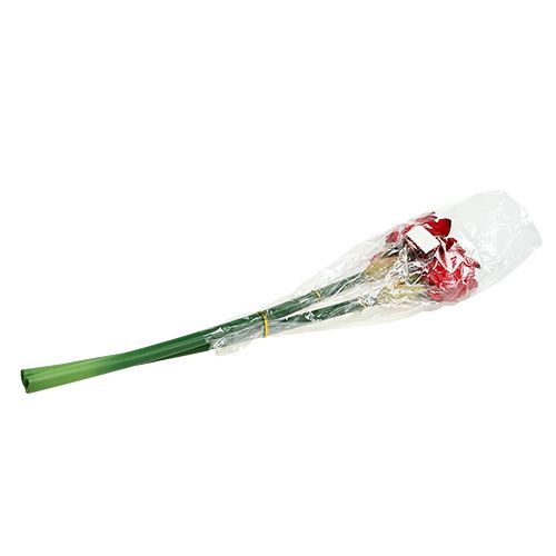 Floristik24 Amaryllis Red L 73cm 2 piezas