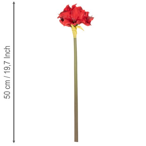 Flor artificial de amarilis roja con tallo, decoración floral para Navidad, 50 cm. | Floristik24.es
