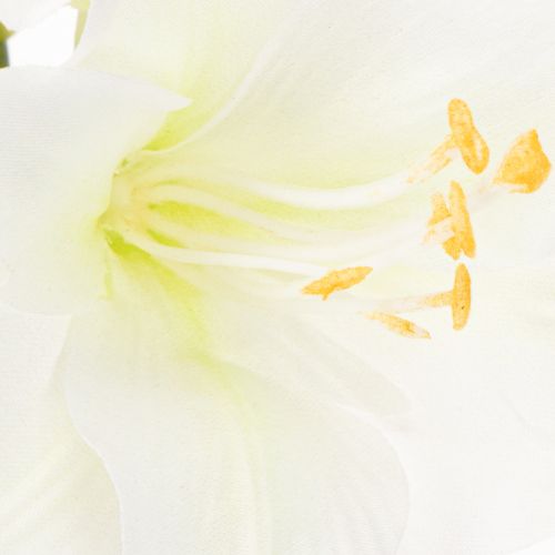 Flor artificial de amarilis, blanca, con tallo, Adviento y Navidad, 50 cm | Floristik24.es