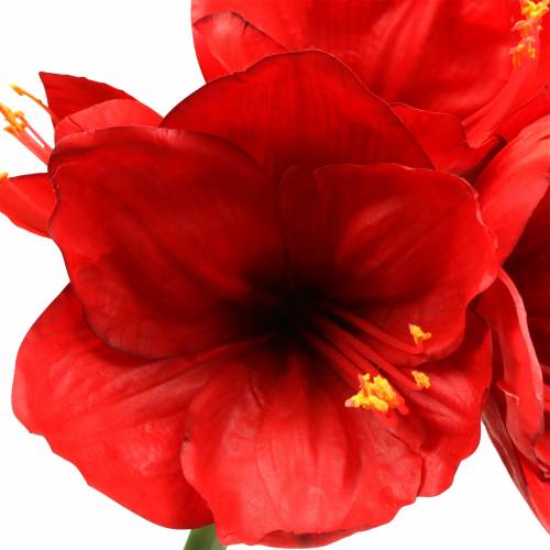 Artículo Amarilis rojo 75cm