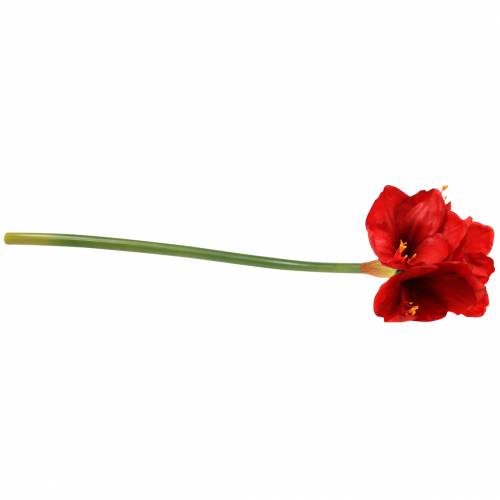 Artículo Amarilis rojo 75cm