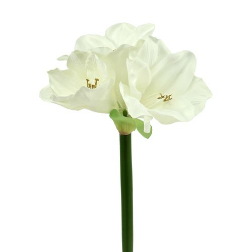 Floristik24 Amarilis artificial 60cm blanco