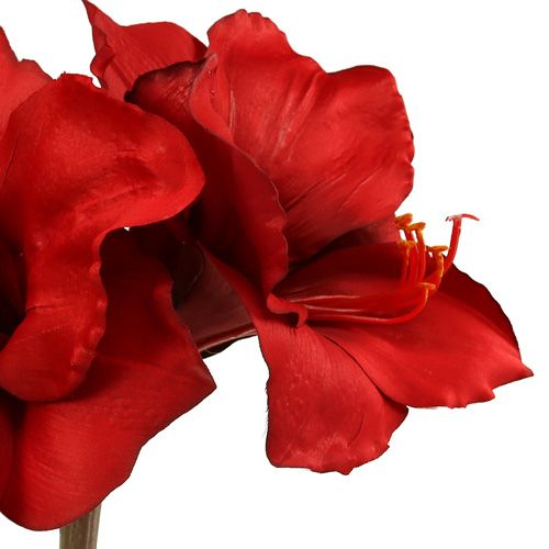 Floristik24 Amarilis artificial grande rojo 96.5cm