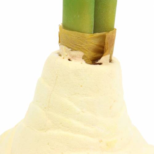 Floristik24 Tubérculo de amarilis con cogollos blanco artificial H30cm