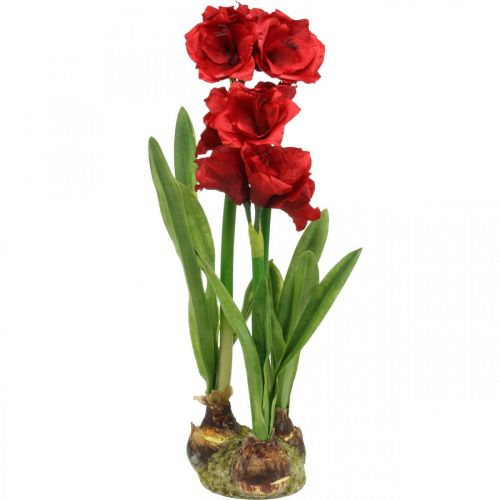 Floristik24 Amarilis artificial roja 3 flores de seda en bolas de musgo Al 64cm