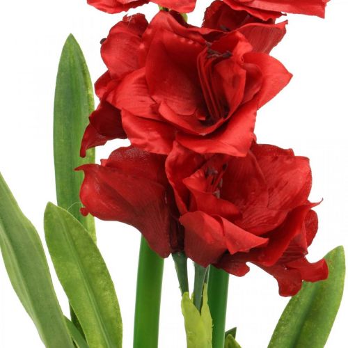 Floristik24 Amarilis artificial roja 3 flores de seda en bolas de musgo Al 64cm