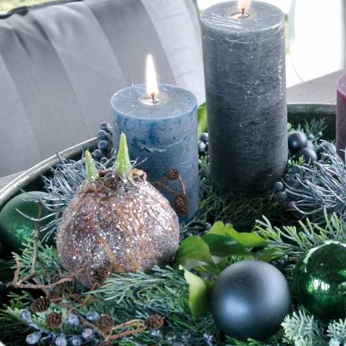 Floristik24 Bombilla de amarilis con brillo artificial marrón Al.19cm