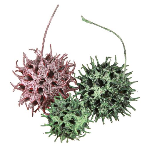 Artículo Decoración de conos de árbol de ámbar, decoración natural esmerilada de bayas verdes, 500g