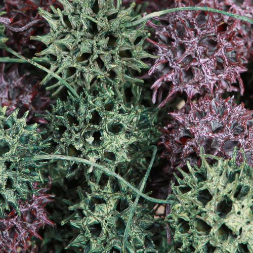 Artículo Decoración de conos de árbol de ámbar, decoración natural esmerilada de bayas verdes, 500g