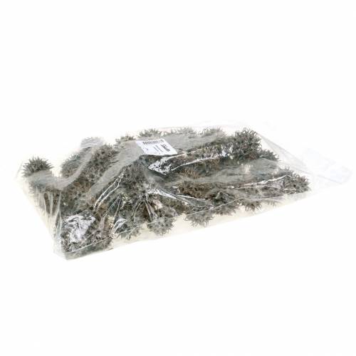 Artículo Conos de liquidámbar natural lavado blanco 250g
