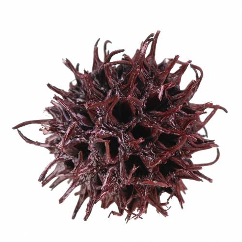 Artículo Conos de liquidámbar rojo escarchados 250g