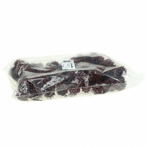 Artículo Conos de liquidámbar rojo escarchados 250g