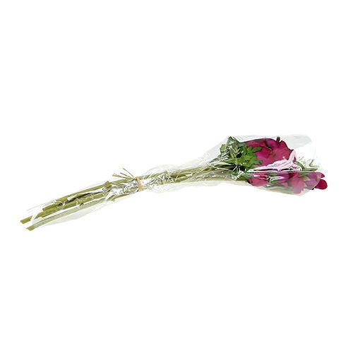 Floristik24 Anémona artificial Fucsia 6pcs
