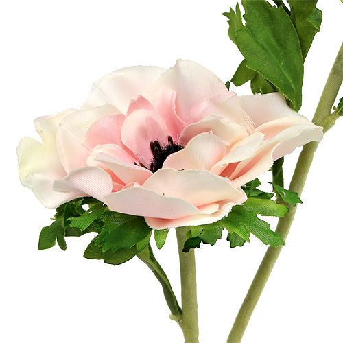 Floristik24 Anémona artificial rosa 6pcs