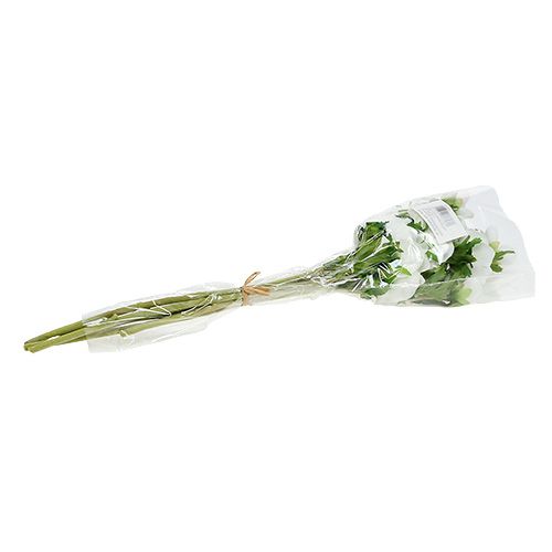 Floristik24 Anémona artificial blanca 6uds