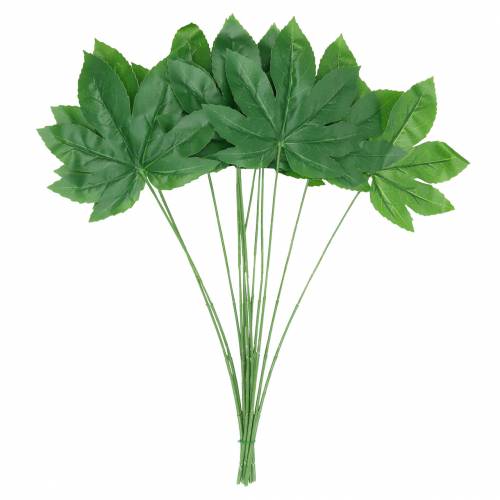 Floristik24 Hoja de aralia con tallo verde L61.5cm 12pcs