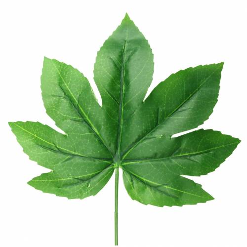 Artículo Hoja de aralia con tallo verde L61.5cm 12pcs