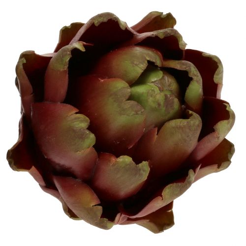 Floristik24 Marrón alcachofa, verde Ø10cm H11cm