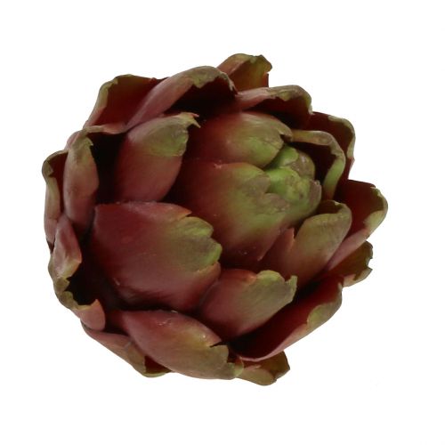 Floristik24 Marrón alcachofa, verde Ø10cm H11cm