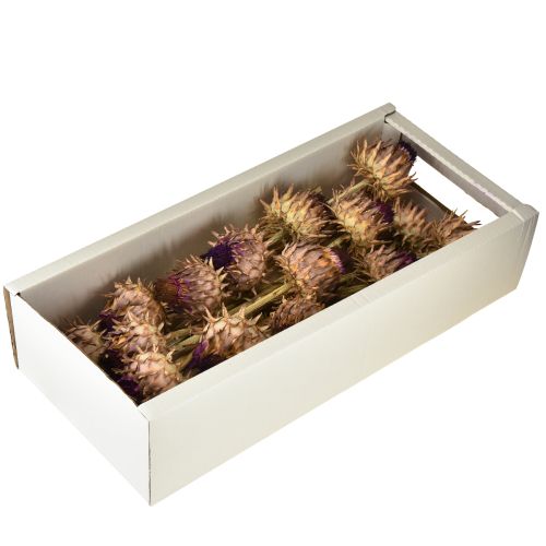 Artículo Flor de alcachofa alcachofa seca Cynara Ø9cm 16 uds