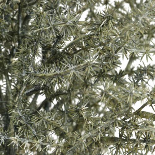 Floristik24 Rama decorativa de alerce blanco lavado artificial 45cm 6ud