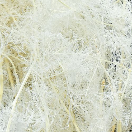 Artículo Espárragos Hierbas Secas Espárragos Ornamentales Crema 90cm 5 uds