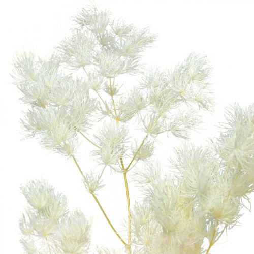 Artículo Espárragos decoración seca hierba ornamental seca blanca 80g