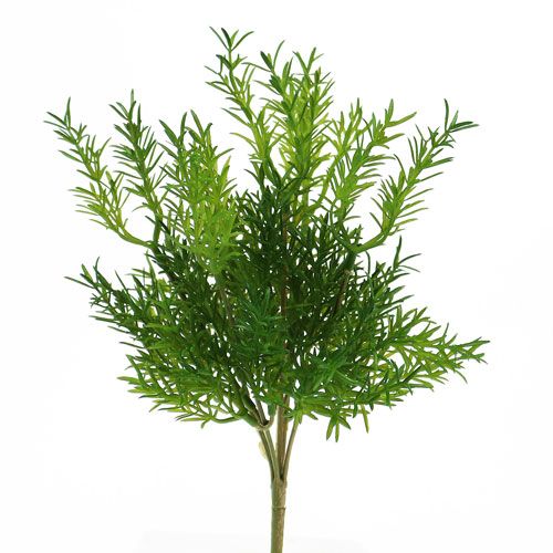 Palillo de espárragos 26cm