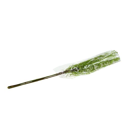 Floristik24 Rama de espárragos 75cm verde 3uds