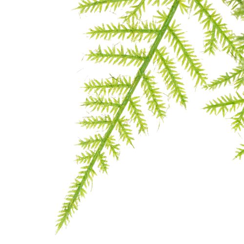 Artículo Espárragos artificiales como planta colgante para decoración del hogar de bajo mantenimiento, 75 cm