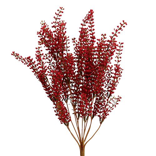 Floristik24 Arbusto Astilben rojo 52cm