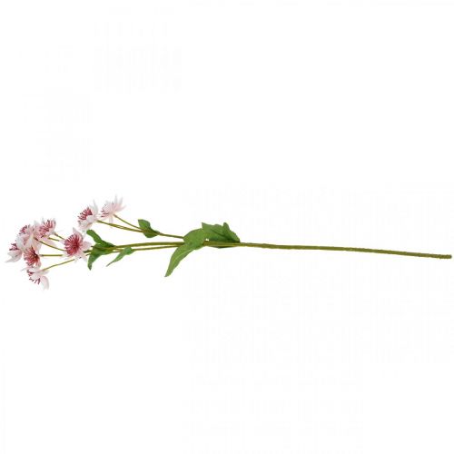 Artículo Flor de seda de Astrania artificial grande Masterwort blanco rosa L61cm