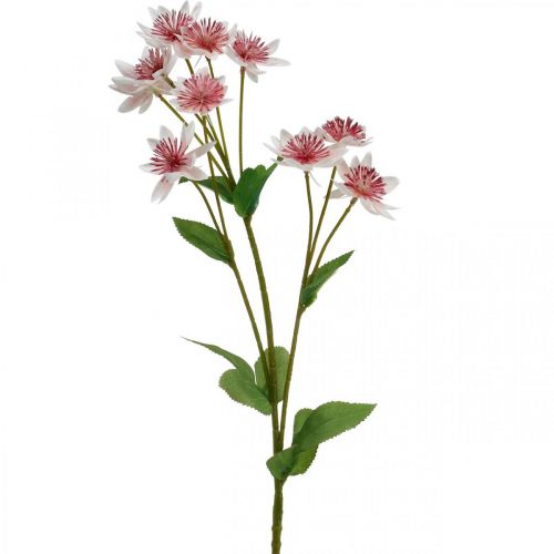 Artículo Flor de seda de Astrania artificial grande Masterwort blanco rosa L61cm