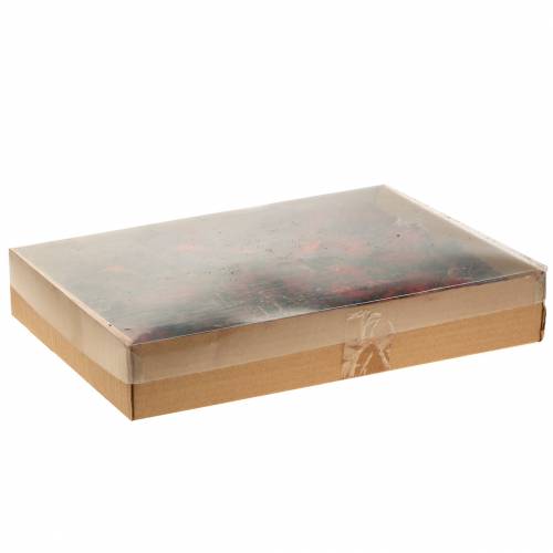 Floristik24 Rodajas de frutas decorativas Ata fruit red 1kg